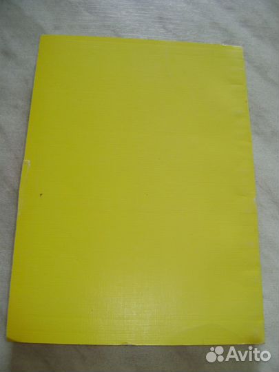 Н.С. Шибанов 