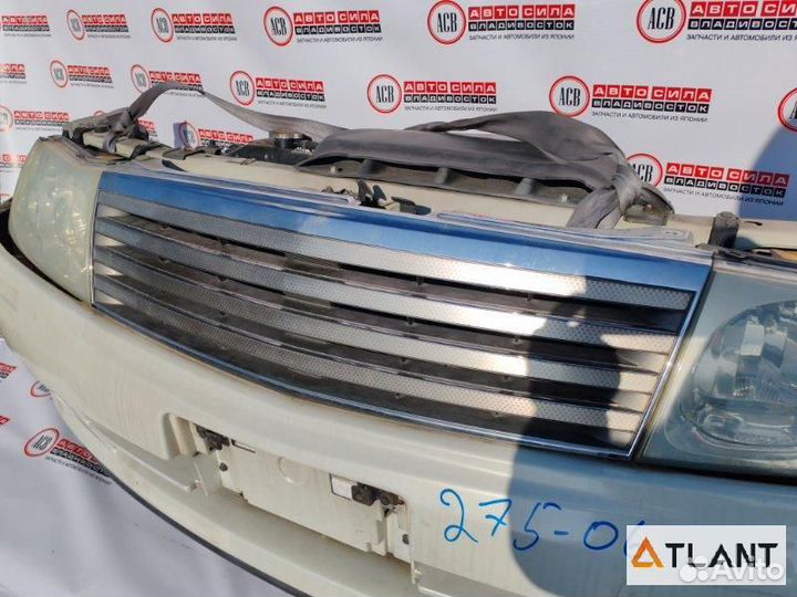 Nose cut nissan gloria