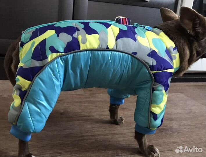 Зимний комбинезон для маленьких собак