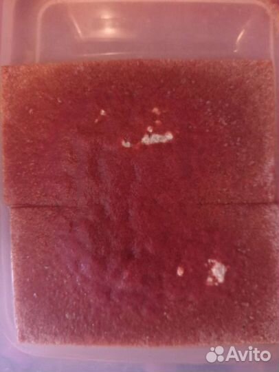 Аулофорус.Меченосцы.Креветки.Гуппи