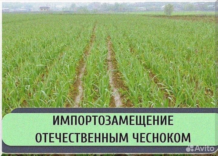 Ищу инвестора в готовый бизнес