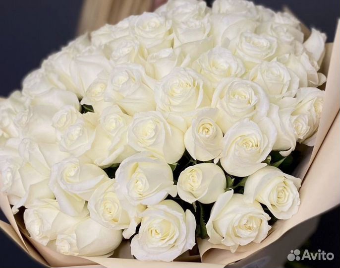 51 белая роза букет с доставкой
