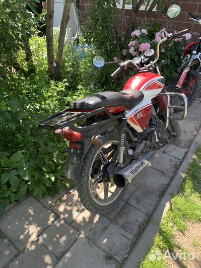 Alpha RX 110