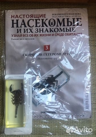 Журнал насекомые и их знакомые. Новый обмен