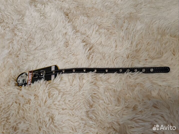 Ошейник для маленькой собачки