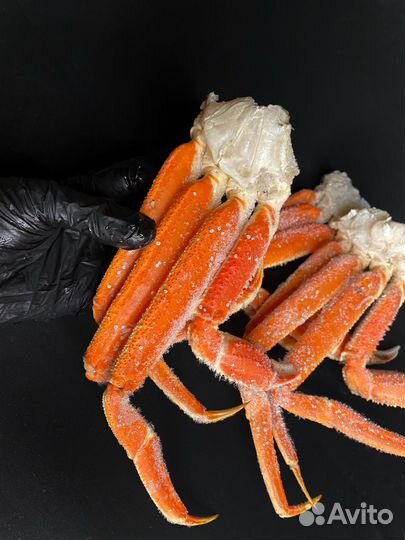 Конечности краба Стригуна (Опилио)