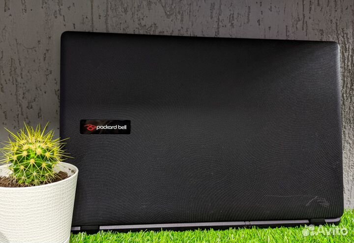 Ноутбук для работы учёбы гарантия 1 год