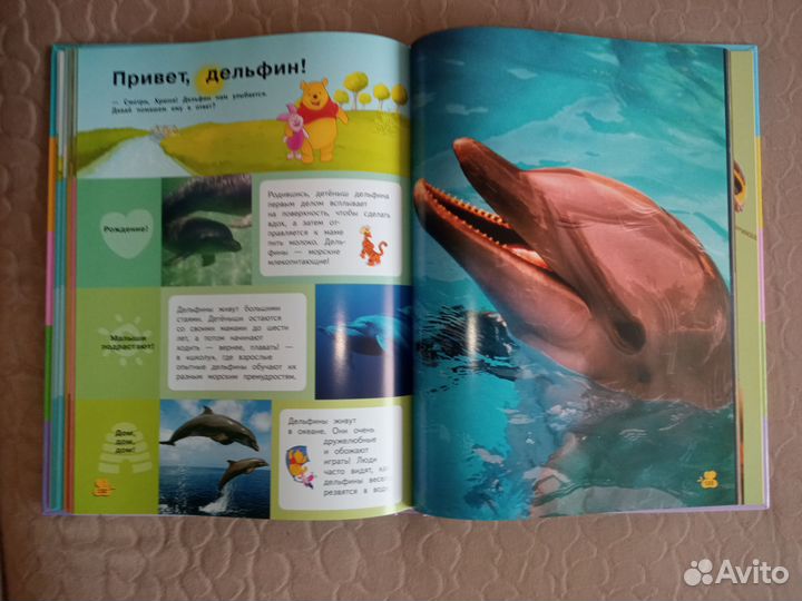 Книга Энциклопедия для детей