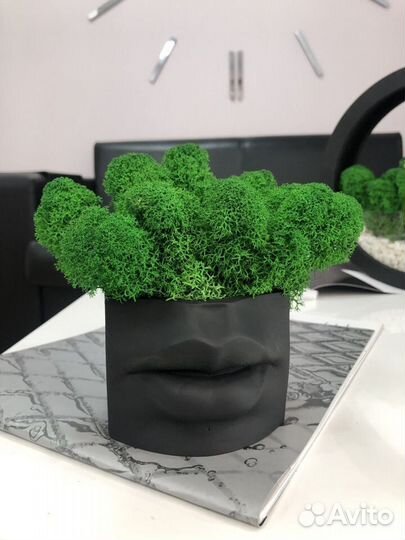 Кашпо Губы Джоли со мхом