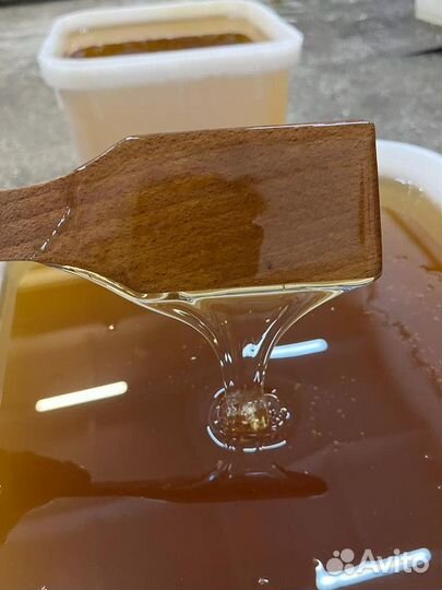 Майский мёд. Качка 2023 г. Оптом