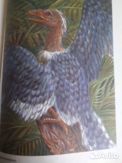 Книга- След динозавра издательство 