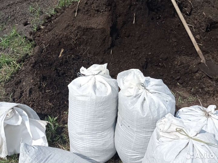 Перегной, навоз