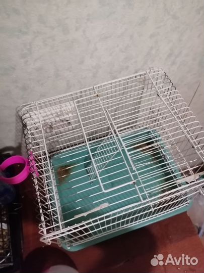 Принадлежности для хомяка