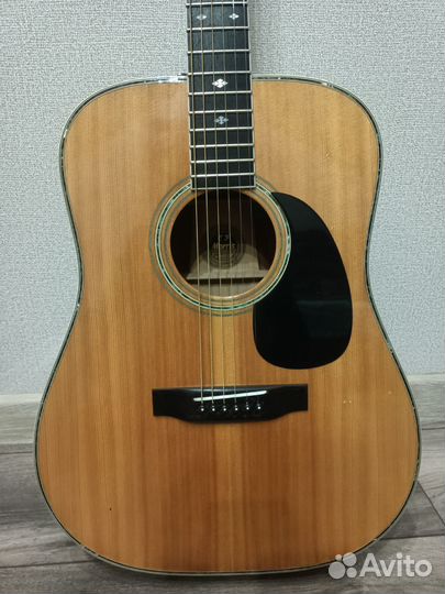 Акустическая гитара Morris W 50