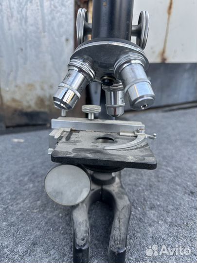 Микроскоп leitz wetzlar