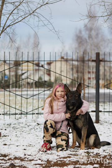 Услуги кинолога и передержка ваших любимых питомце