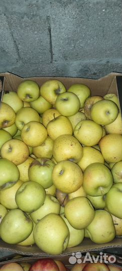 Мандарины,Яблоки