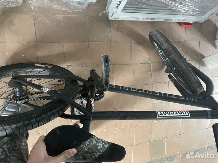 Bmx animal eclat wtp salt plus дёрбан