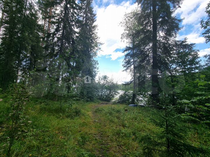 Участок 10 сот. (СНТ, ДНП)