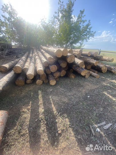 Круглый лес сосна