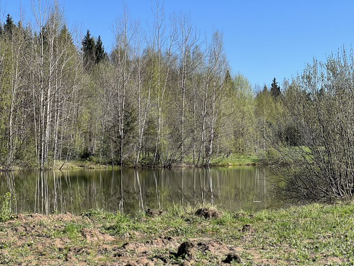 Участок 1,19 га (СНТ, ДНП)