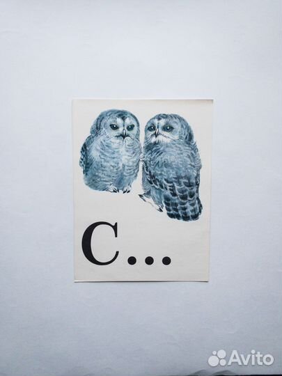 Азбука в картинках: листовое издание для школы