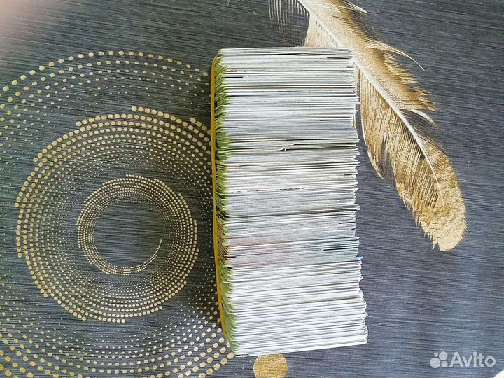 263 мортол карт