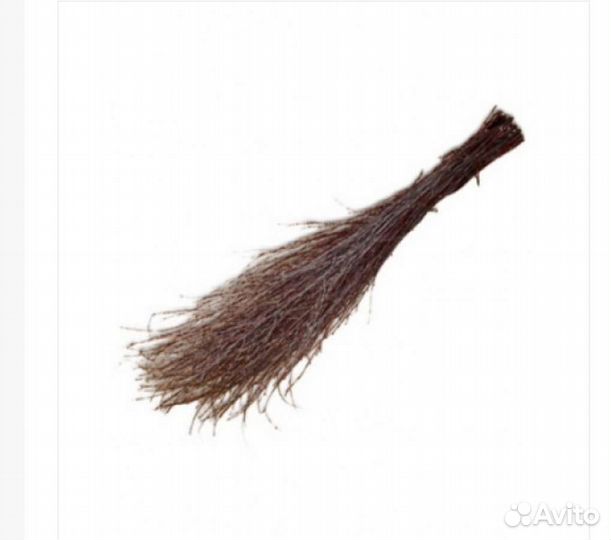 Метла берëзовая