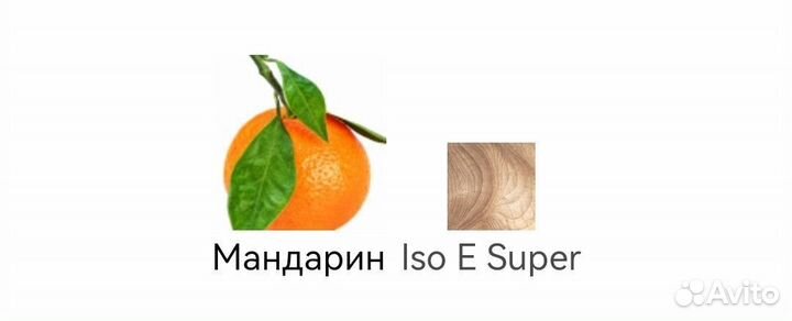 Molecule 01 + Mandarin Escentric Molecules