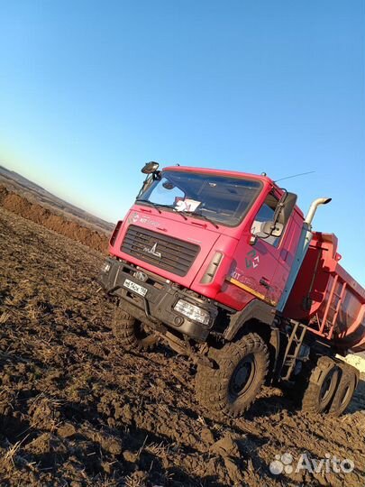 МАЗ 6502C9-522-052, 2021