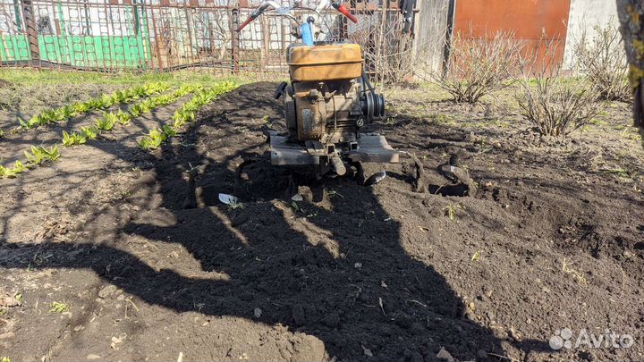 Вспашка огородов мотоблоком