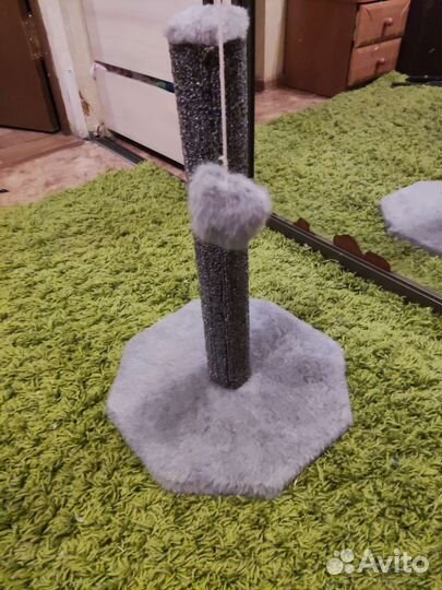 Когтеточка