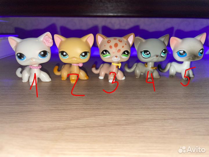 Littlest Pet Shop