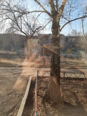 Комната 17 м² в 3-к., 1/5 эт.