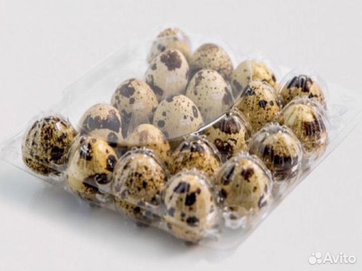 Контейнеры упаковка ячейки для перепелиных яиц