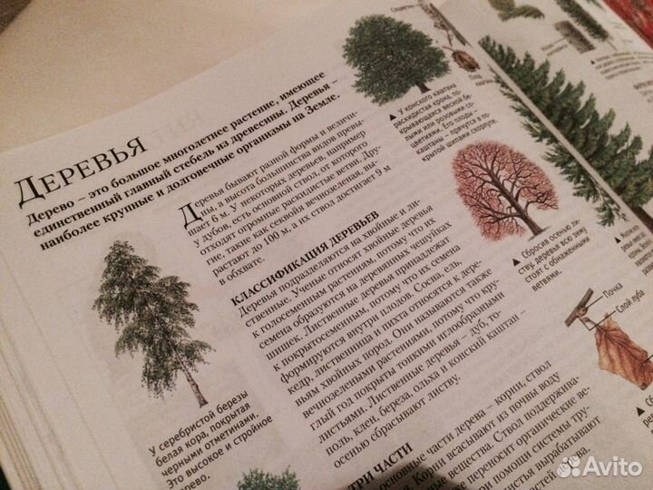 Энциклопедии школьника(2 книги) Ответы для почемуч