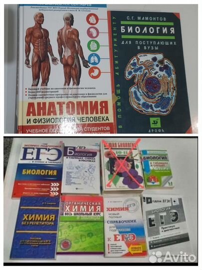 Учебники
