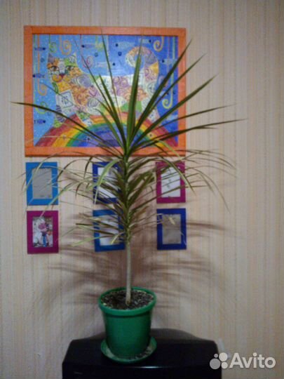 Авторское панно