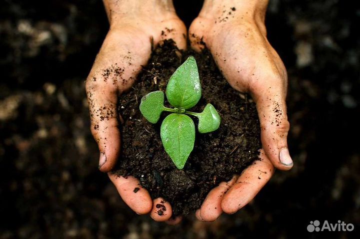 Состав для удобрений почвы, подкормки растений