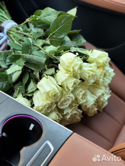 Розы цветы оптом букеты