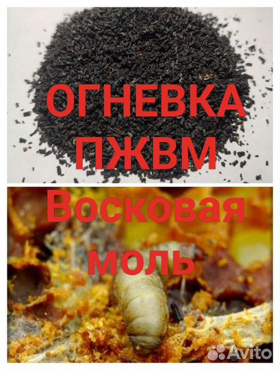 Пжвм Огневка N1