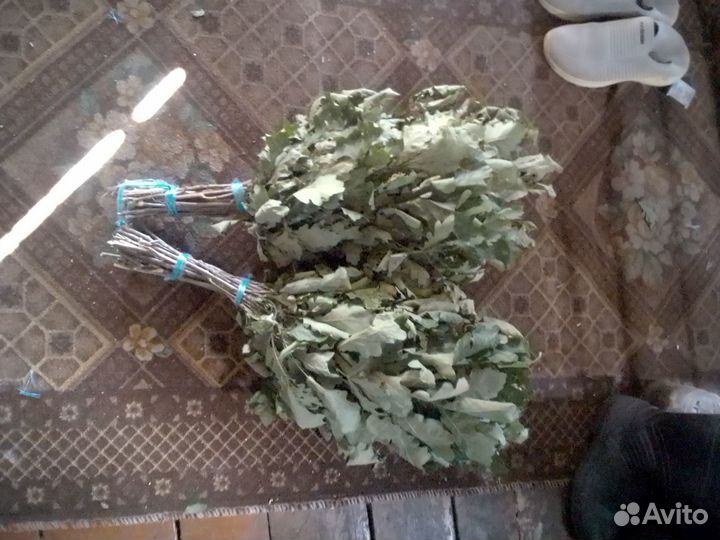 Дубовые веники для бани
