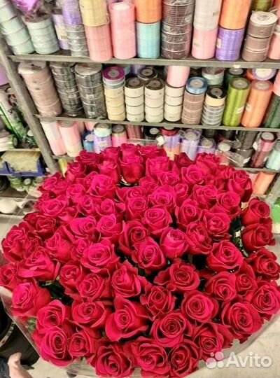 Высокие розы Гигантские розы с доставкой