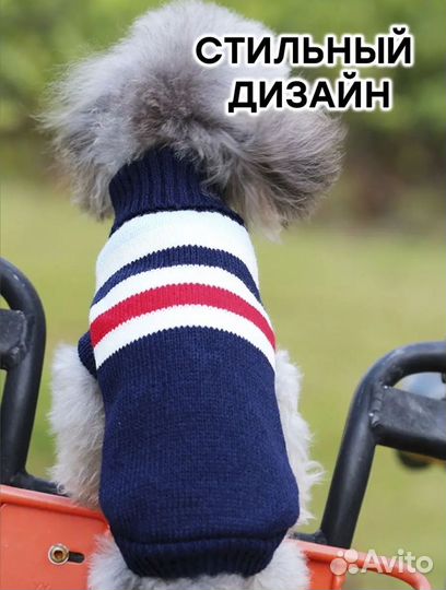 Одежда для собак мелких пород