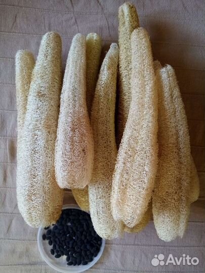 Мочалка из люфы семена