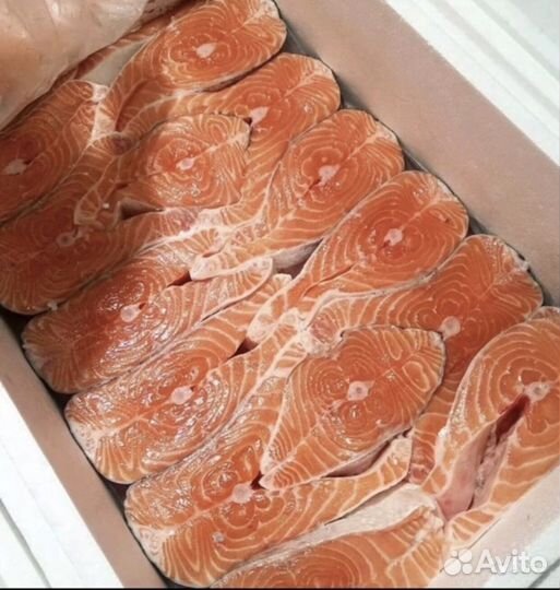 Свежий лосось предзаказ на 15 августа
