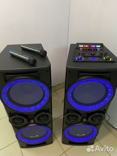 Акустическая система каоаоке ElTronic 12N