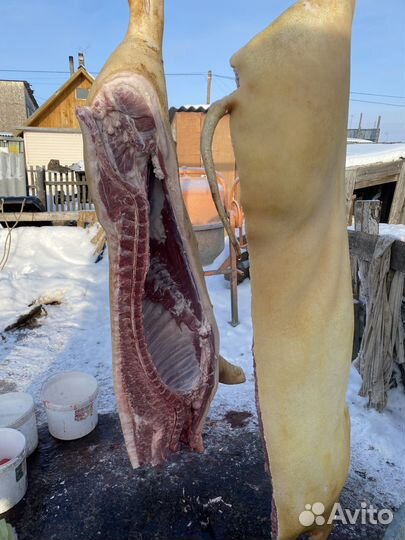 Мясо свинина домашняя / деревенская