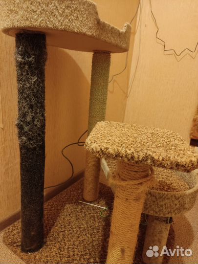 Комплекс Когтеточка