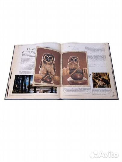 Книга Гарри Поттер. Фантастические существа росмэн